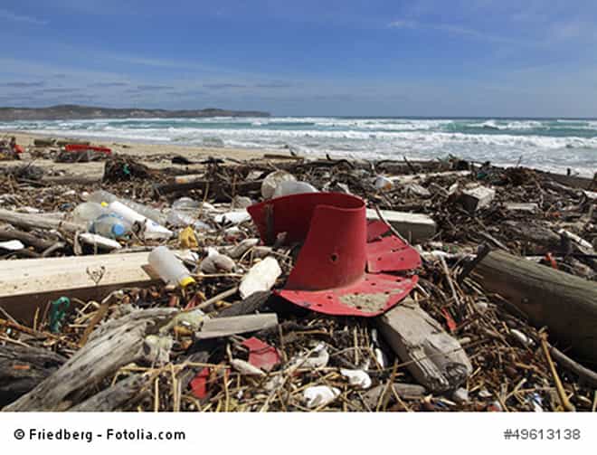 Plastik im Meer: eine unsichtbare Zeitbombe « The Bird