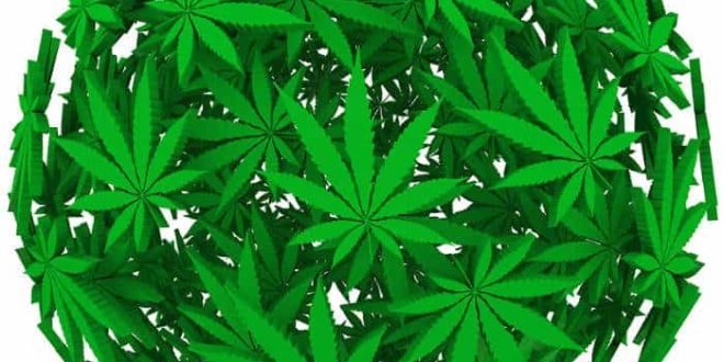 Legalisierung von Cannabis